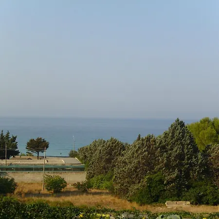 Ortensia * Lido Conchiglia