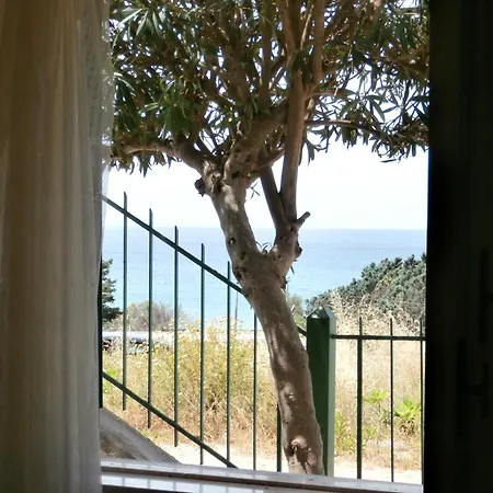 Apartamento Ortensia Lido Conchiglia